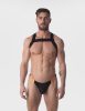 Harness Matt